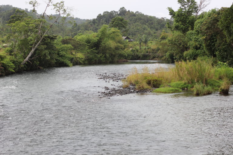 Sungai Bitue. Foto: Ady Anugrah