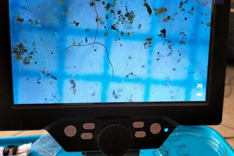 Pemeriksaan sampel mikroplastik. Foto: Luh De Suryani/ Mongabay Indonesia