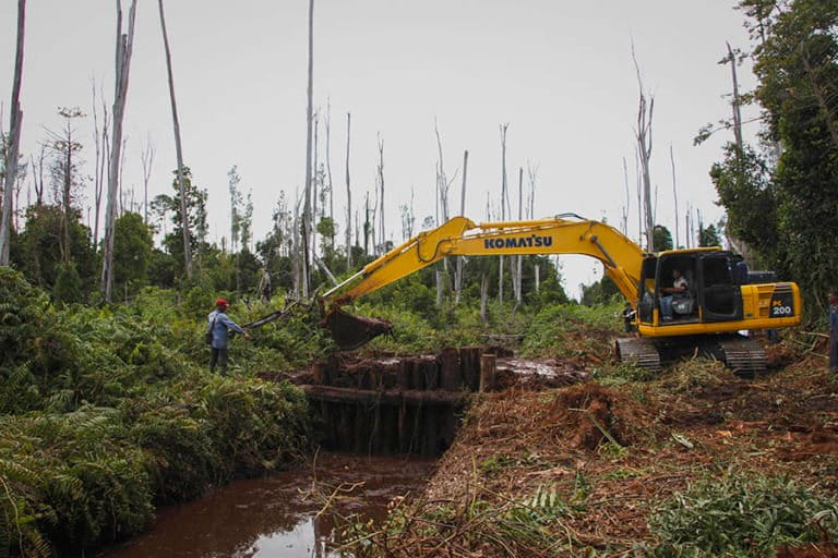 Penutupan kanal di lahan gambut di Rawa Tripa. Foto: Junaidi Hanafiah/ Mongabay Indonesia