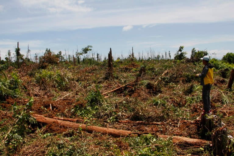 Kondisi Rawa Tripa, setelah pohon ditebangi. Foto: Junaidi Hanafiah/ Mongabay Indonesia