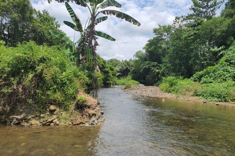 Debit air sungai di Uraso, berkurang. Foto: Wahyu Chandra/ Mongabay Indonesia