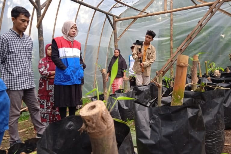 Tempat pembibitan bambu di Sekolah batara. Foto: Gafur Abdullah/ Mongabay Indonsia