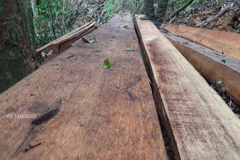 Kayu olahan yang ditemukan petugas dari para pembalak liar. Foto: Ayat S Karokaro/ Mongabay Indonesia
