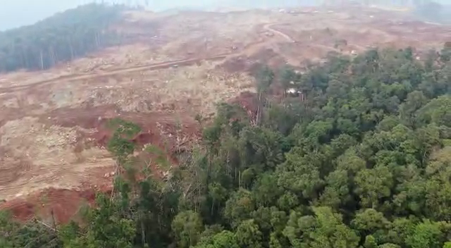 Tutupan hutan yang terbabat untuk tambang nikel. Foto: Christ Belseran/ Mongabay Indonesia