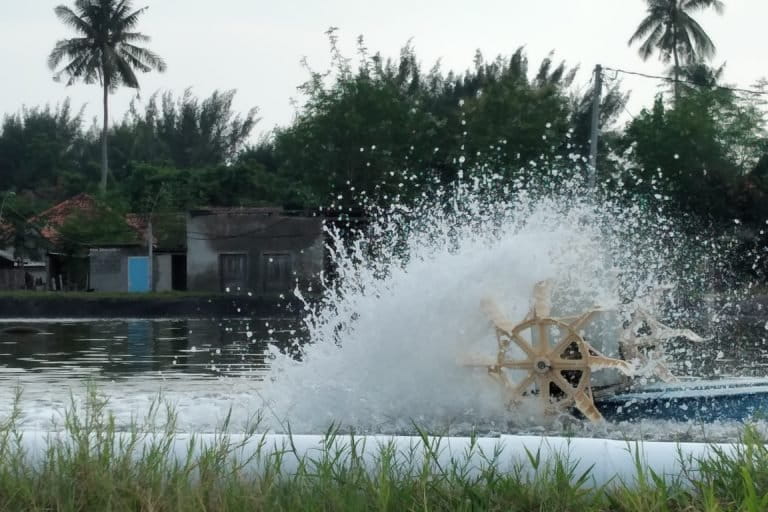 Kincir air di tambak udang yang masih beroperasi. Foto: Moh. Tamimi/Mongabay Indonesia