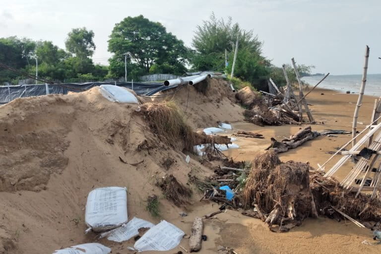 Sebagian properti tambak kini ditelantarkan dan tidak ada upaya perbaikan ekosistem pantai. Foto: Moh. Tamimi/Mongabay Indonesia