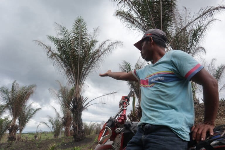 lahan masyarakat yang memiliki kejelasan sertifikat yang bermasalah dengan pihak perusahaan. Foto/Zulkifli Mangkau.