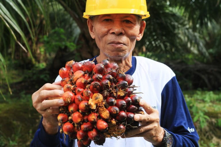 Petani mandiri di Landak, yang sudah ikut program peremajaan kebun sawit. Foto: Siti Sulbiyah/ Pontianak Post