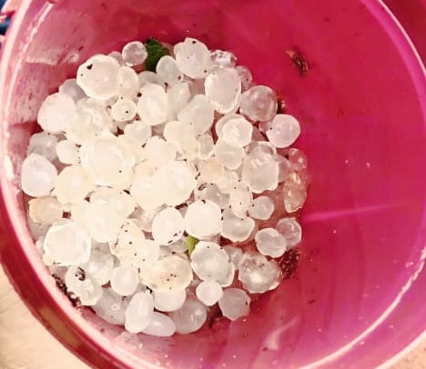 Butiran-butiran es yang jatuh bersamaan dengan hujan dan angin kencang di Halmahera, medio Januari lalu yang warga kumpulkan. Foto: dokumen warga