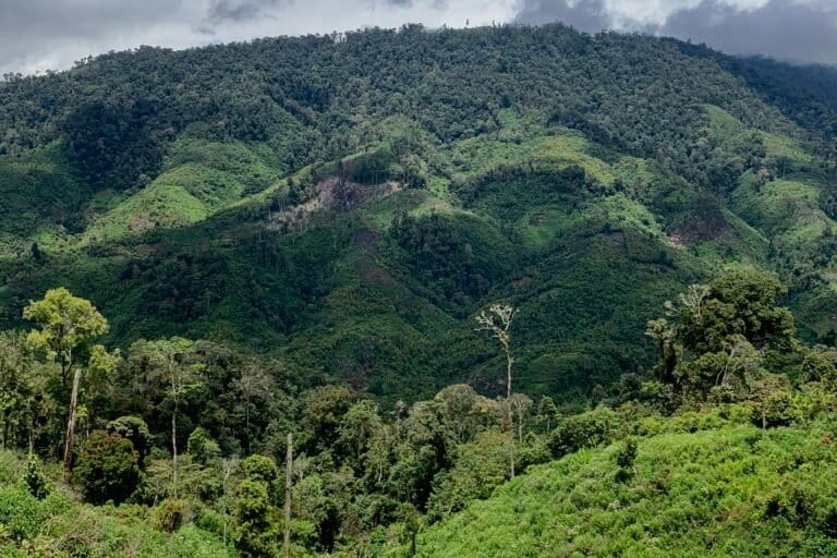 Taman Nasional Kerinci Seblat. Foto: Teguh Supriyanto/ Mongabay Indonesia