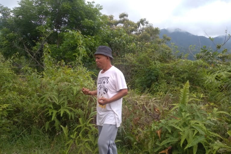 Agustinus Egot sedang menunjukkan kepada kami lokasi Wellpad F di bukit Lingko Mesir. Foto: Anno Susabun