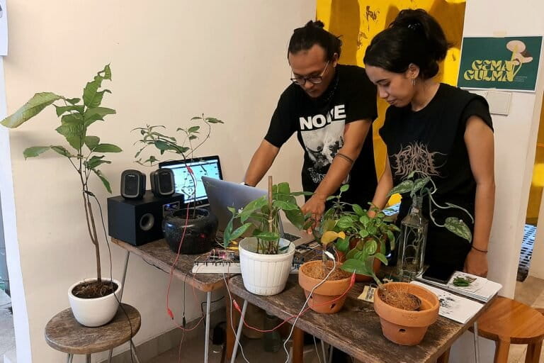 Eksperimen mendengarkan suara tanaman. Harapannya, dengan uji coba ini bisa jadi rujukan untuk memperlakukan tumbuhan lebih baik ke depan. Foto: Themmy Doaly/ Mongabay Indonesia