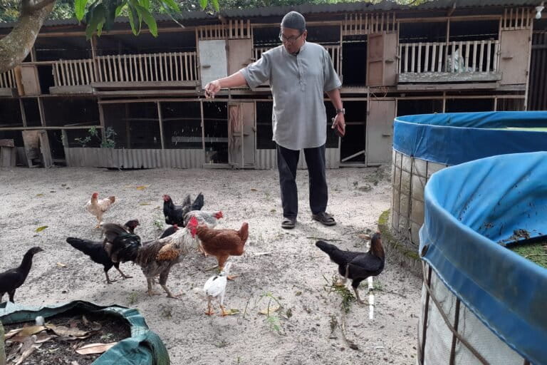 Sekolah Ibu Al Mubarok, menerapkan pertanian terpadu untuk menopang keperluan sekolah. Foto: Suryadi/ Mongabay Indonesia