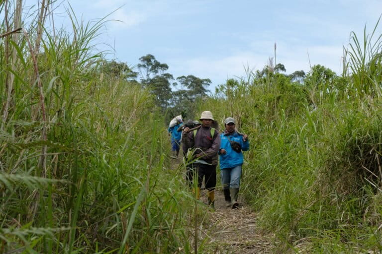 Sekeliling-lahan-kawasan-hutan-yang-dikelola-masyarakat-Desa-Ibun-masih-terdiri-dari-ilalang.-Biaya-untuk-membuka-lahan-ini-hingga-40-juta-rupiah-per-hektar-scaled.jpg