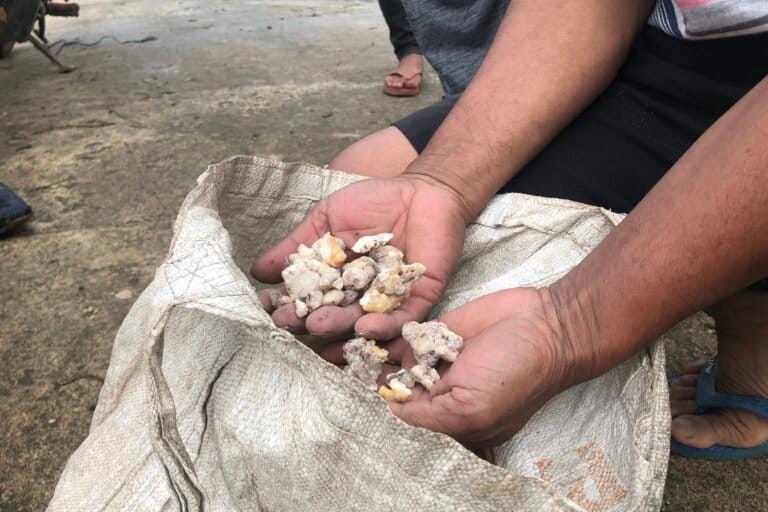 Pasar Simardangiang, Jual-Beli Hasil getah kemenyan. Foto: Barita N. Lumbanbatu/ Mongabay Indonesia