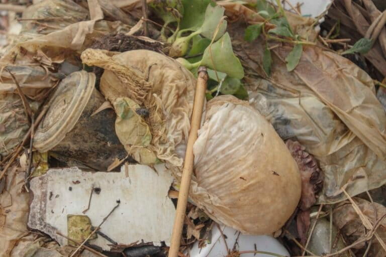 Beragam sampah di Danau Sipin. Foto: Jaka HB/ Mongabay Indonesia
