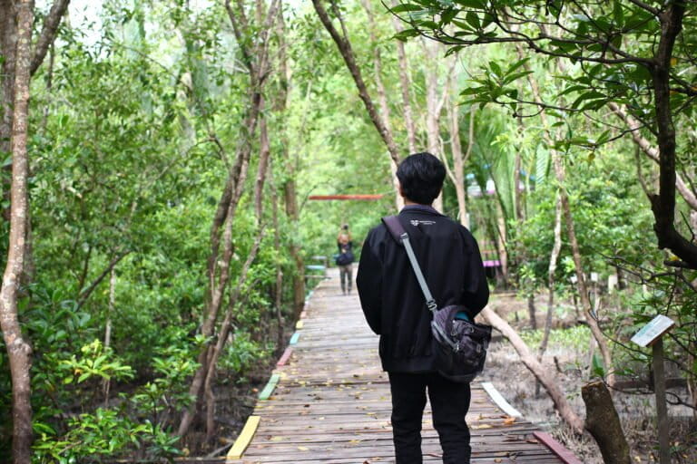 Wisatawan di area wisata mangrove Pangkal Babu. Foto: Elviza Diana/ Mongabay Indonesia