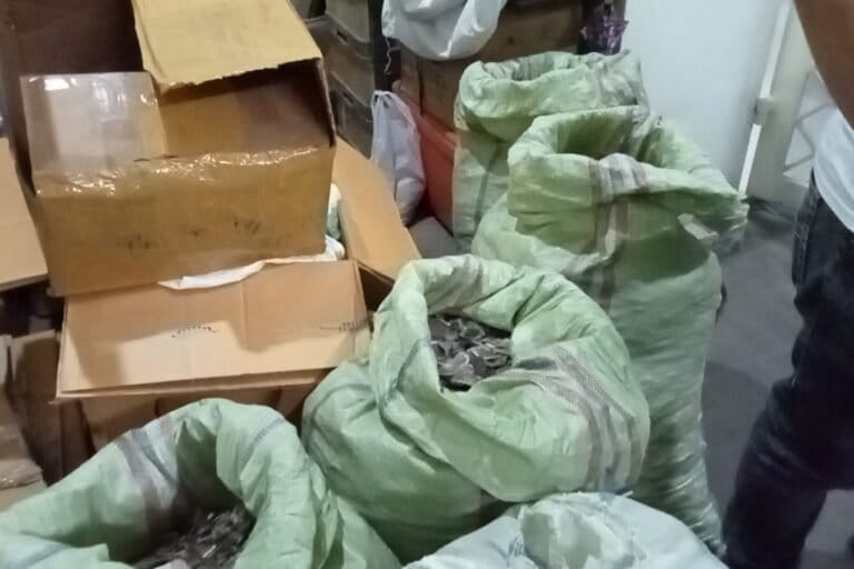 282 kg sisik trenggiling diamankan Subdit 1 Tipiter Mabes Polri di dua lokasi di Medan dengan tersangka tiga orang masing masing Edy,Aldi,Arbain. Foto: Ayat S KaroKaro/ Mongabay Indonesia