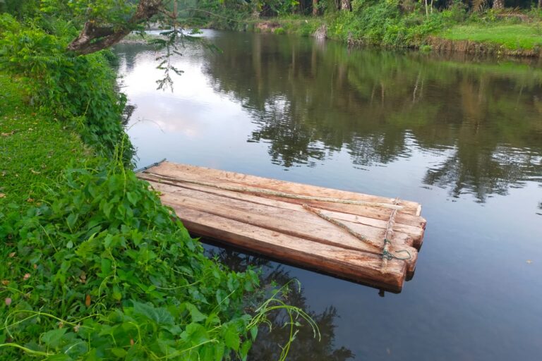 Satu rakit kayu balok tertambat di pinggir sungai, diduga para pekerja baru memulai menghanyutkan kayu namun karena ada orang luar memasuki kawasan tersebut aktifitas mereka terpaksa dihentikan. Foto: Vinolia/ Mongabay Indonesia
