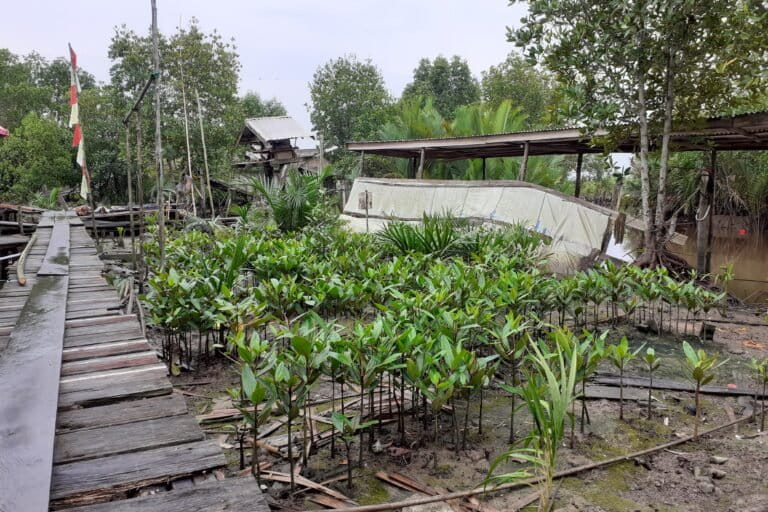 Salah satu titik pemukiman di Dusun Sungai Bandung yang masih agak ramai penduduk karena letaknya di tepi sungai yang jadi jalur transportasi utama warga. Foto: Suryadi/ Mongabay Indonesia