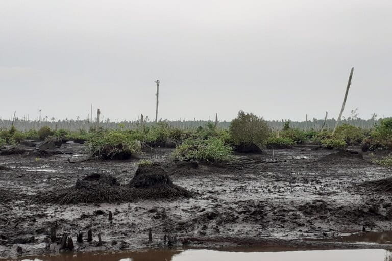 Bekas kebun kelapa di Dusun Sungai Bandung, Riau. Foto: Suryadi/ Mongabay Indonesia