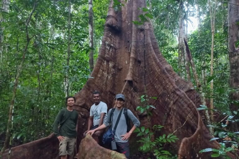 - Mika Ganobal Aktivis Save Aru saat berpose bersama Direktur FWI, Project Manager Mongabay Indonesia Ridzki Sigit, di Hutan P Kobror, Aru Tengah
