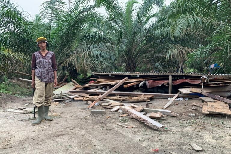 Sumiarsih berdiri di sebelah pondoknya yang telah rata dengan tanah dihancurkan kawanan gajah.