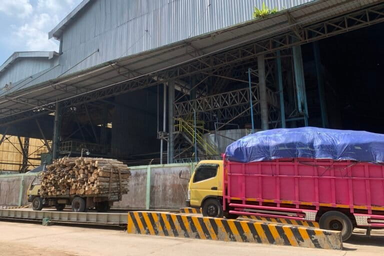 Sebuah truk mengangkut limbah sawit dan potongan kayu bulat untuk bahan bakar PLTU Biomassa PT RPSL.