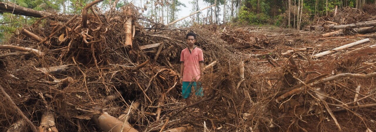 Pembukaan hutan untuk tambang nikel di Pulau Wawonii. Foto: Riza Salman/ Mongabay Indonesia