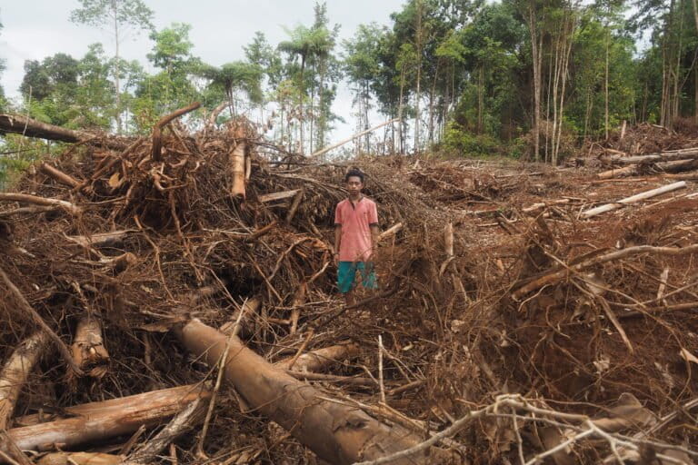 Pembukaan hutan untuk tambang nikel di Pulau Wawonii. Foto: Riza Salman/ Mongabay Indonesia
