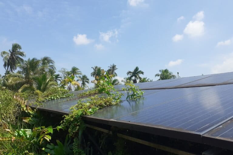 Panel Surya PLTS Sungai Solok masih utuh meski telah diselimuti semak. Tidak beroperasi lagi setelah baterai banyak rusak. Foto Suryadi.jpg