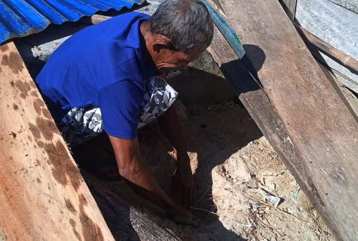 Amir menyembunyikan tempat penetasan yang dibuatnya agar tdak dirusak orang tidak bertanggung jawab, Dia menutupinya dengan papan dan seng bekas foro M Ichi