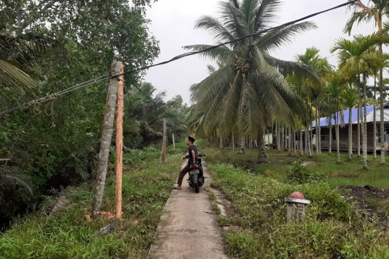 Demi listrik sampai ke rumah, masyarakat Penyalai yang tinggal di lorong-lorong mendirikan tiang-tiang kayu dari belahan pohon kelapa dan pinang untuk membentang kabel. Foto Suryadi.jpg