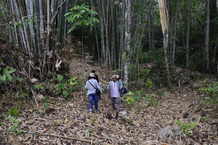 Masyarakat adat di Kaluppini Kabupaten Enrekang menjaga hutan melalui kearifan dan tradisi yang ada. Eksistensi masyarakat adat, baik itu terkait pengetahuan, tradisi, dan praktik budaya memiliki kekhasan, teruji dalam menghadapi berbagai tantangan dalam kehidupan bermasyarakat. Foto; Wahyu Chandra/Mongabay Indonesia.