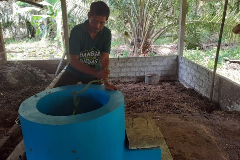 Sudarman mengaduk kotoran sapi yang telah dicampur air dalam inlet. Takaran kotoran sapi dan air, satu banding satu. Alias 80 kg kotoran ditambah 80 liter air. Foto Suryadi/ Mongabay Indonesia