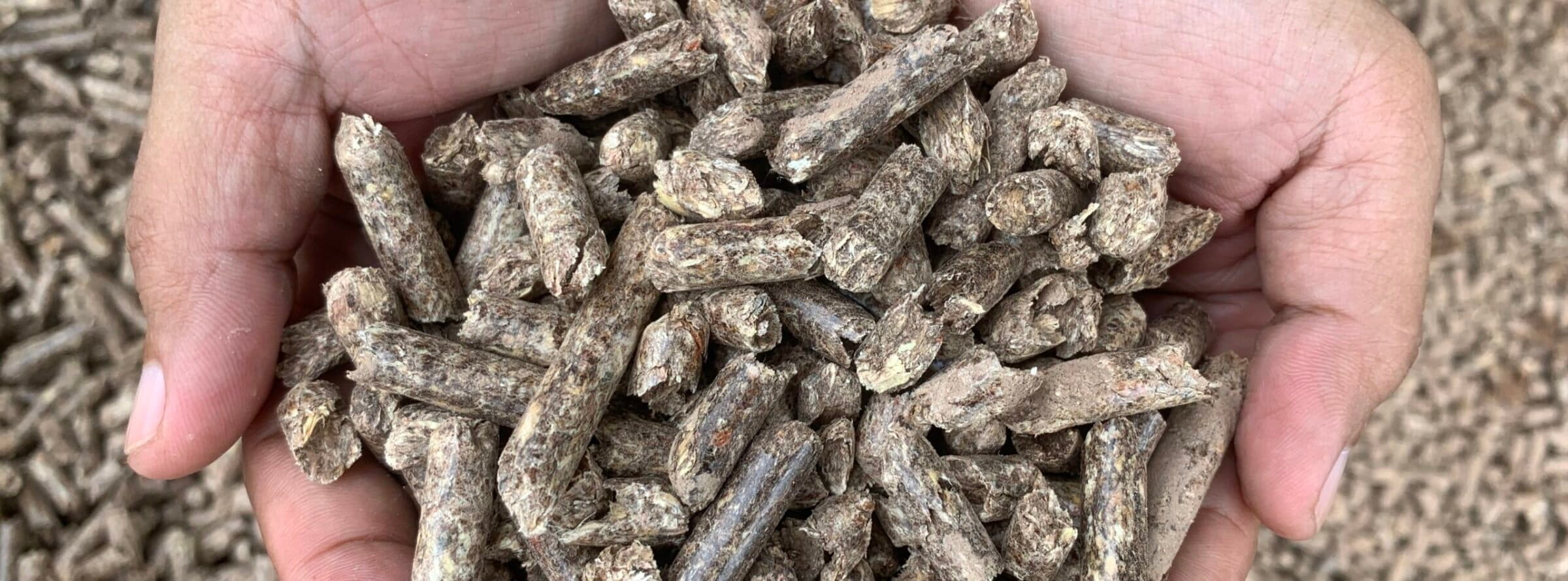 Produksi wood pellet PT RPSL dikirim untuk memenuhi kebutuhan pasar di Korea Selatan. Foto: Yitno Suprapto/ Mongabay Indonesia