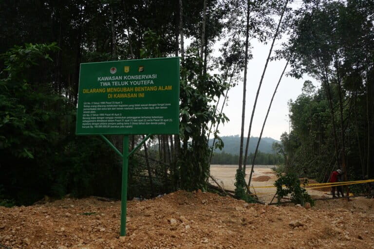 Plang peringatan dari BBKSDA Papua di depan lokasi hutan bakau yang sudah ditimbun di area kawasan konservasi Taman Wisata Alam Teluk Youtefa Jayapura.Foto: Asrida Elisabeth/ Mongabay Indonesia