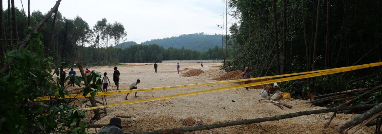 Hutan bakau yang sudah ditimbun di kawasan konservasi Taman Wisata Alam Teluk Youtefa Jayapura. Foto: Asrida Elisabeth/ Mongabay Indonesia