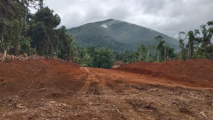 Aktivitas pembukaan jalan oleh perusahaan PT Priven Lestari untuk rencana penambangan mereka, foto Aliansi Masyarakat Buli Peduli Gunung Wato-wato. Foto: dokumen aliansi