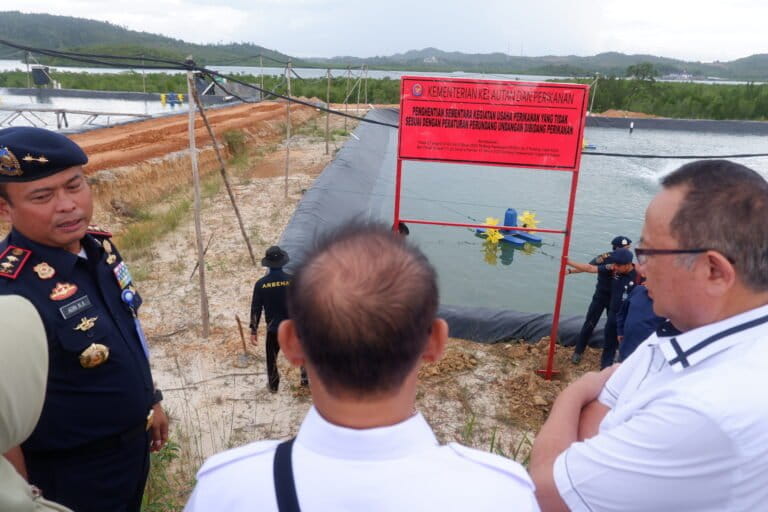 Penyegelasan tambak udang yang menimbun hutan mangrove di Barelang, Kota Batam. Foto: Yogi Eka Sahputra/ Mongabay Indonesia