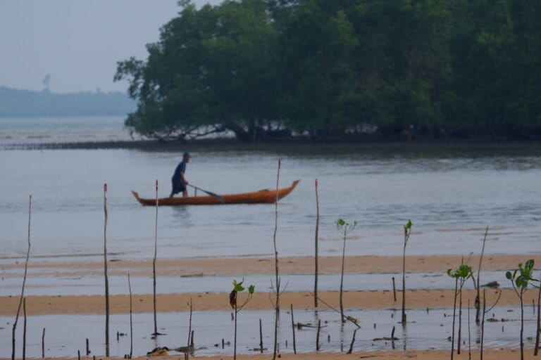 Seorang nelayan menepi dengan pemandangan pohon mangrove di Pasir Merah Sembulang, Kota Batam, Provinsi Kepri. Foto: Yogi Eka Sahputra/ Mongabay Indonesia