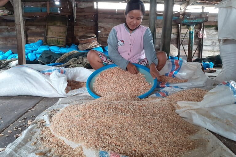 Udang pukul, salah satu hasil perikanan Panipahan yang diekspor ke Malaysia. Foto: Suryadi Mongabay Indonesia