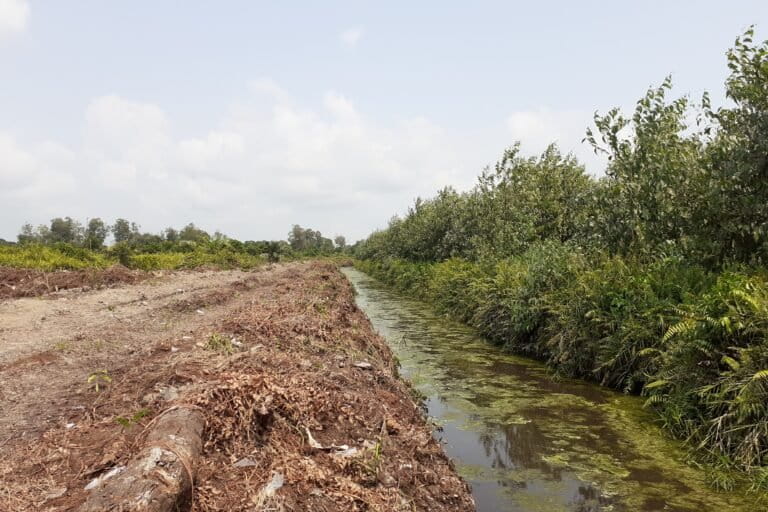 Parit antara konsesi PT SRL dengan kebun masyarakat Teluk Jira. Foto: Suryadi/ Mongabay Indonesia