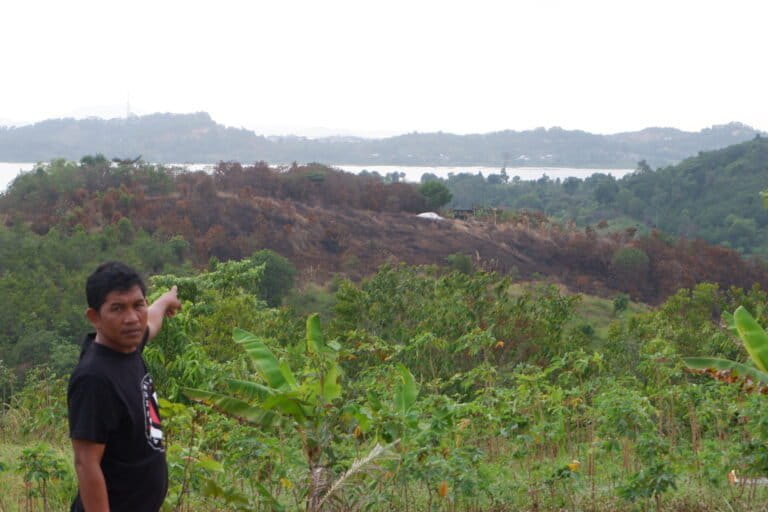 Rinto, menunjukkan hutan lindung yang terbakar di Kota Batam. Foto: Yogi Eka Sahputra/ Monghabay Indonesia