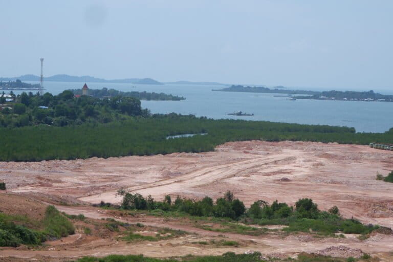Hutan mangrove yang habis terbabat untuk keperluan industri dan perumahan di pesisir Pulau Batam. Foto: Yogi Eka Sahputra/Mongabay Indonesia