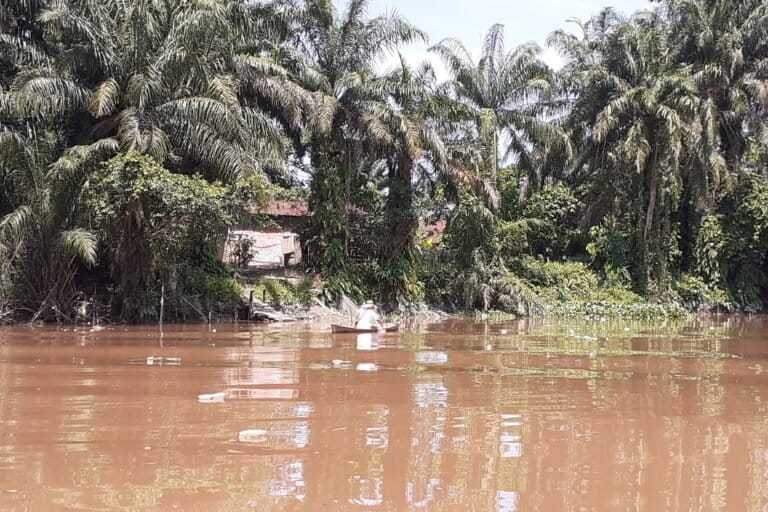 Pupuk perkebunan sawit turut menyumbang beban pencemaran di Sungai Siak. Mengancam biota sungai. Foto: Suryadi/Mongabay Indonesia