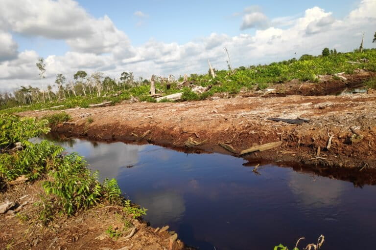 Kanal sekunder di areal gambut yang baru dibuka pada KHG Krueng Bubon-Krueng Meureubo, Aceh ©Pantau Gambut 2024