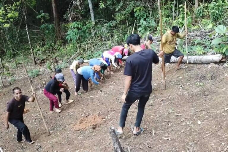 Manugal, menanam padi Masyarakat Adat Dayak Pitap di Desa Kambiayin, Kecamatan Tebing-Tinggi, Kabupaten Balangan.Foto: Riyad DR/Mongabay Indonesia