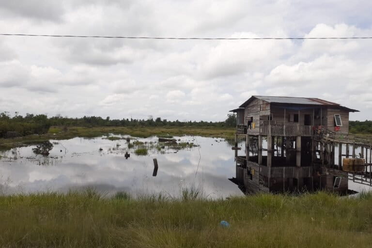 Wilayah perbatasan Pekanbaru dan Kampar di Jalan Riau Ujung adalah kawasan lahan basah namun rawan kebakaran karena masifnya pembangunan perkebunan kelapa sawit. Foto Suryadi Mongabay Indonesia..jp