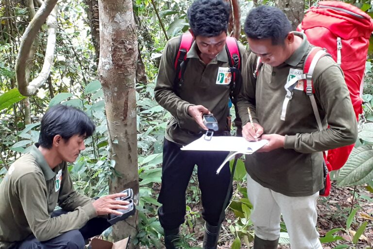 Tim survei melaksanakan tugas masing-masing. Mengatur penggunaan alat sampai pada pencatatan temuan. Foto Suryadi, Mongabay Indonesia.